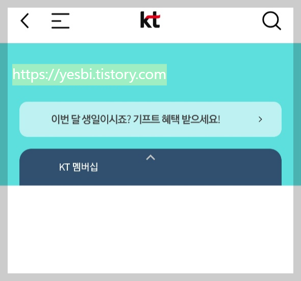 KT멤버십 VIP 생일혜택 정보