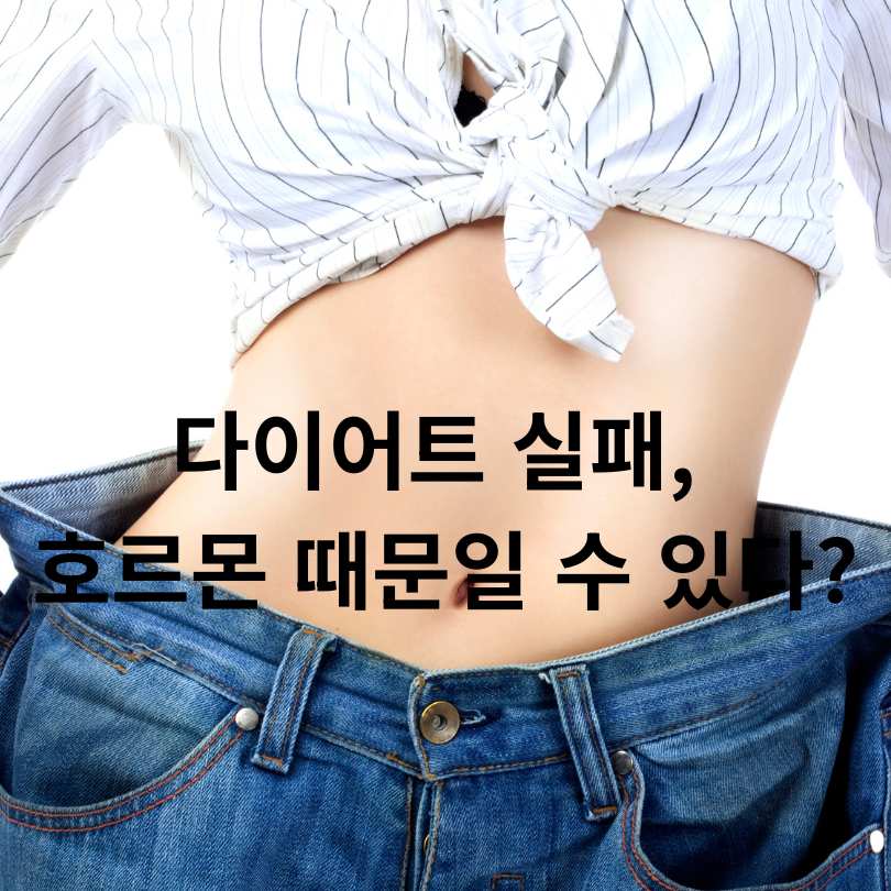 호르몬 다이어트 방법 완전 정복!