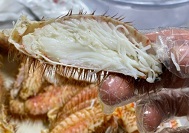 털게