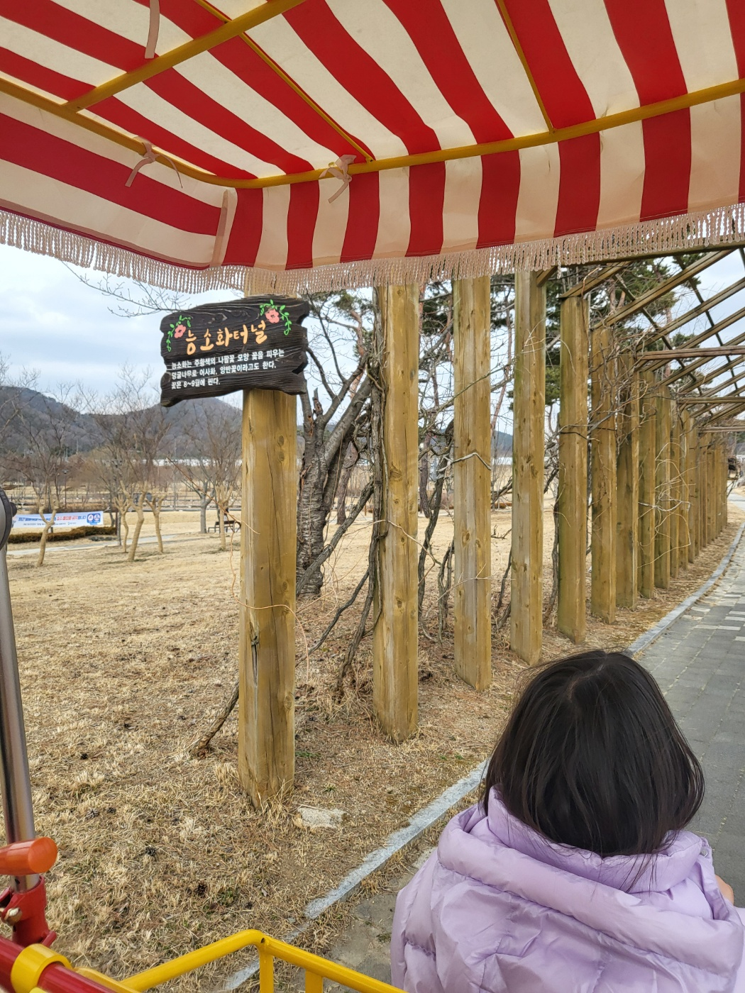 세종 아이와 가볼만한곳 추천: 가족 4인용 자전거부터 송담만리 카페 산책길