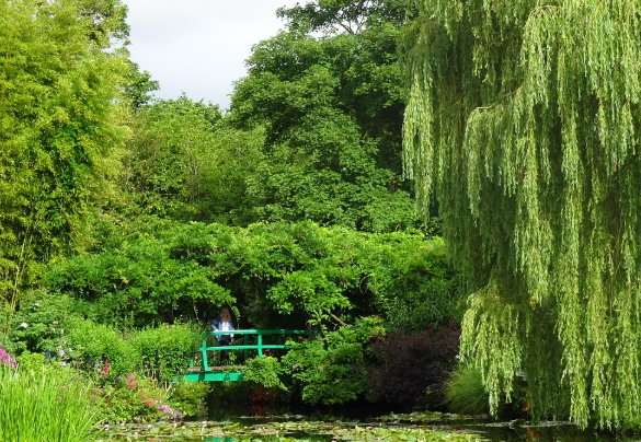 프랑스 지베르니, 모네의 정원이야기