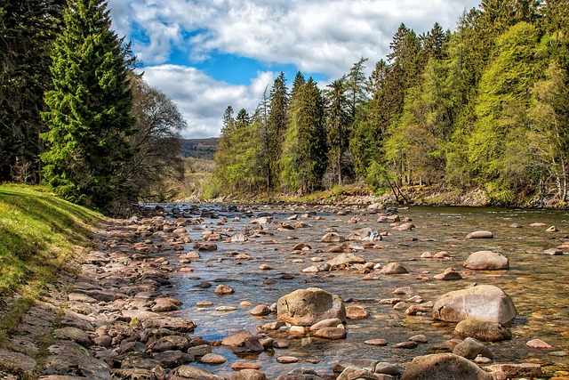 쭈꾸미 낚시 (금어기&amp;#44; 출조포인트&amp;#44; 선사 정보)