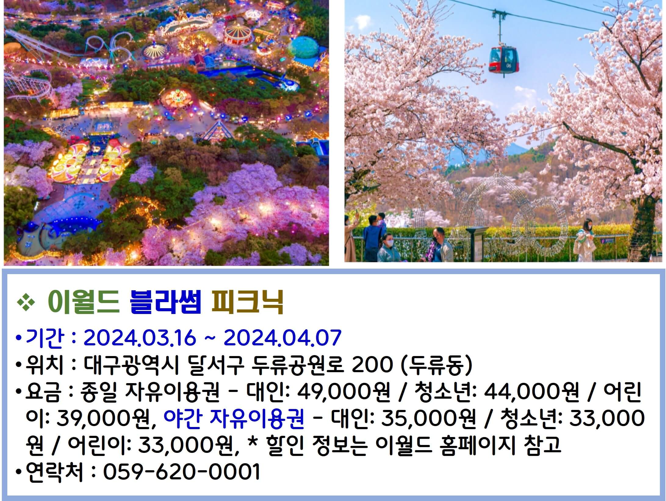 이월드 블라썸 피크닉