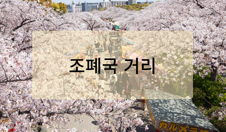 조폐국 벚꽃길