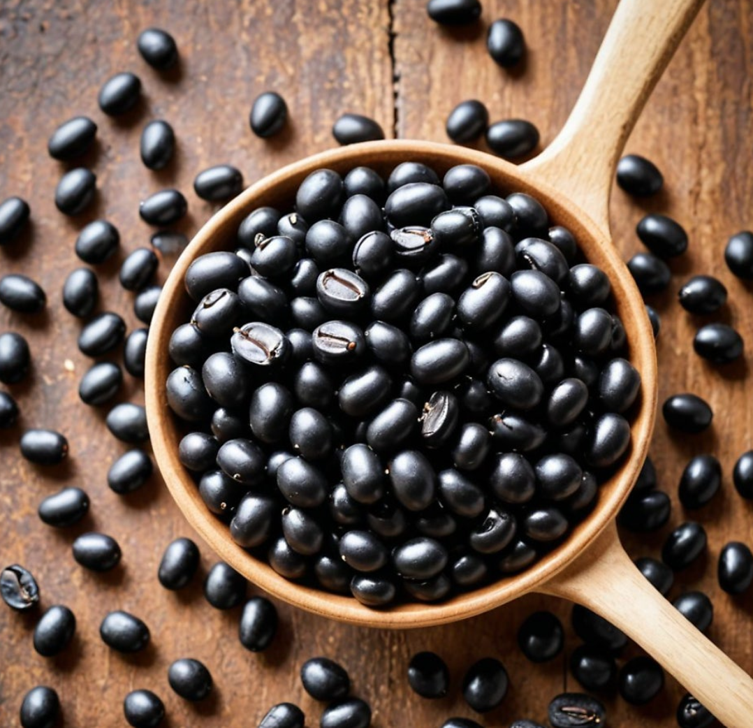 세계 10대 슈퍼푸드 ⑩ 콩편 🌱 - 식물성 단백질의 왕, 인류의 오래된 슈퍼푸드 ‘콩’