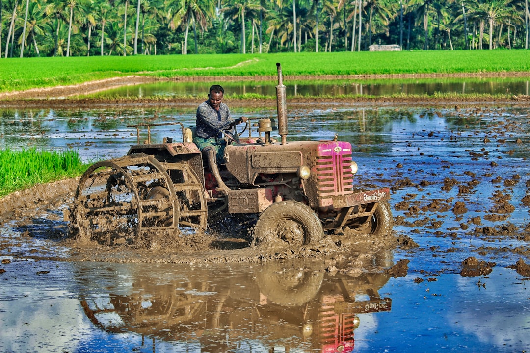 Farmers' allowance