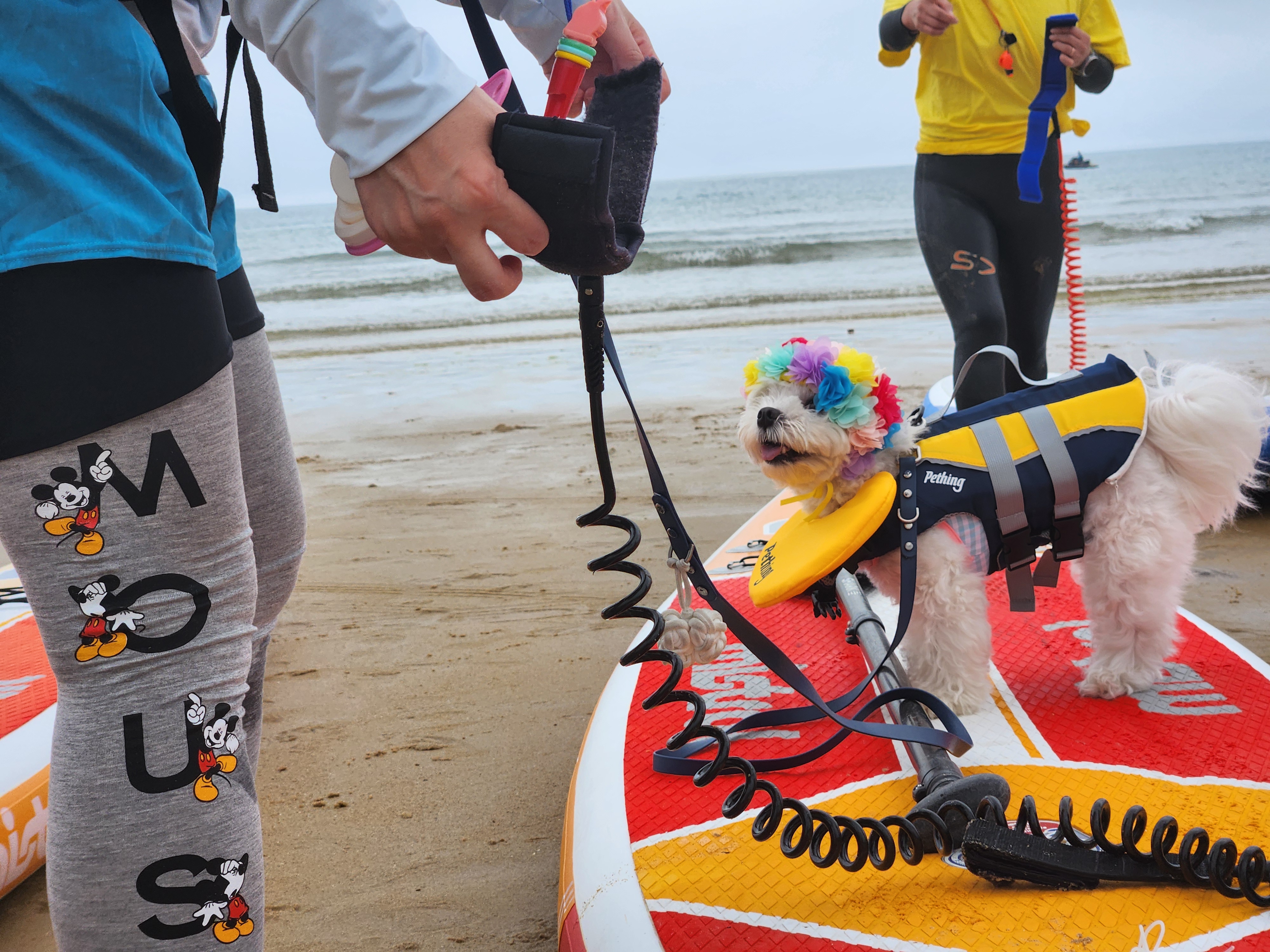 태안 패들보드 체험중