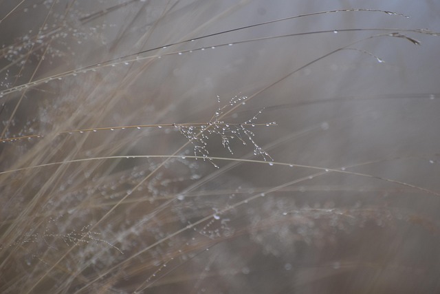 소상공인 대출 6