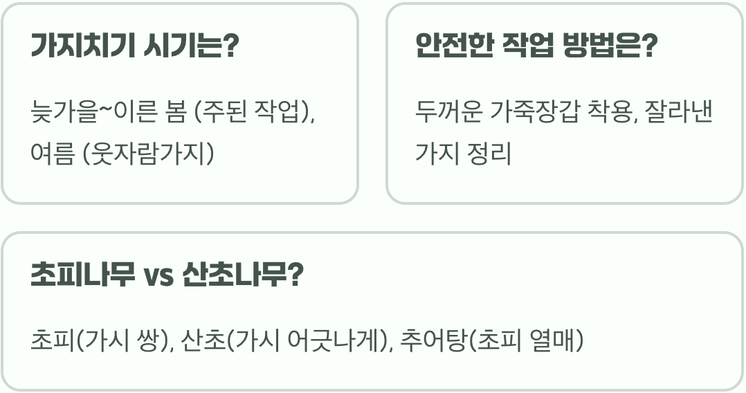 초피나무 수형 예쁘게 잡는 법, 어릴 때부터 관리해야 하는 이유