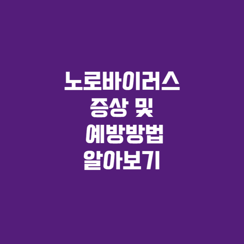 노로바이러스 증상 및 예방법 알아보기