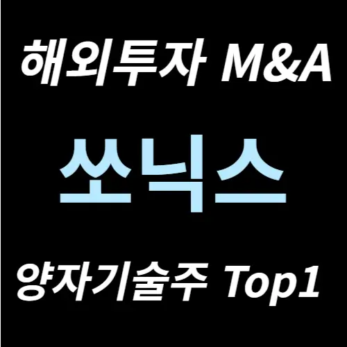 양자컴 기술주 쏘닉스