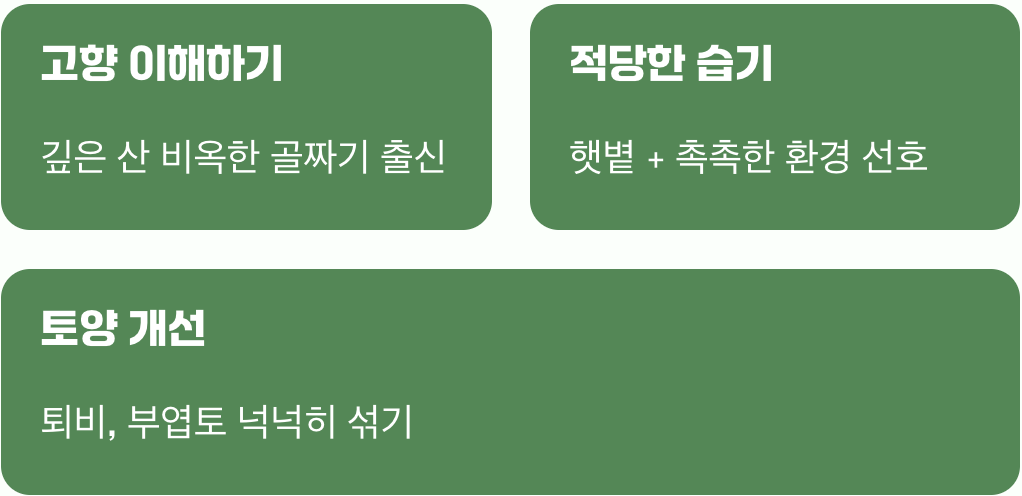 비결 1. 숲속 환경&amp;#44; 그대로 옮겨오기