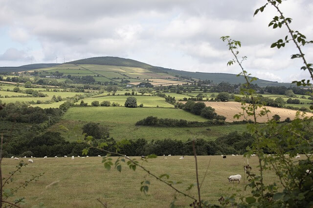 2025 공익직불금 예상금액과 지급시기 한눈에 정리
