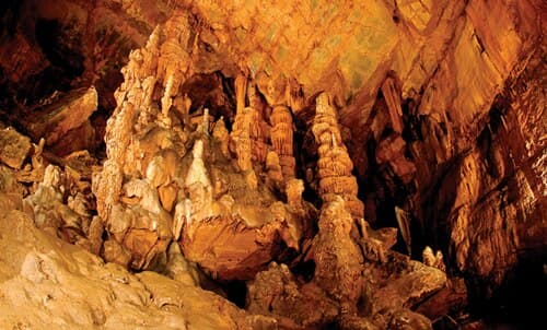 계곡보다 시원한 고산습지, 강원 평창 ‘백룡동굴’ 미지의 세계