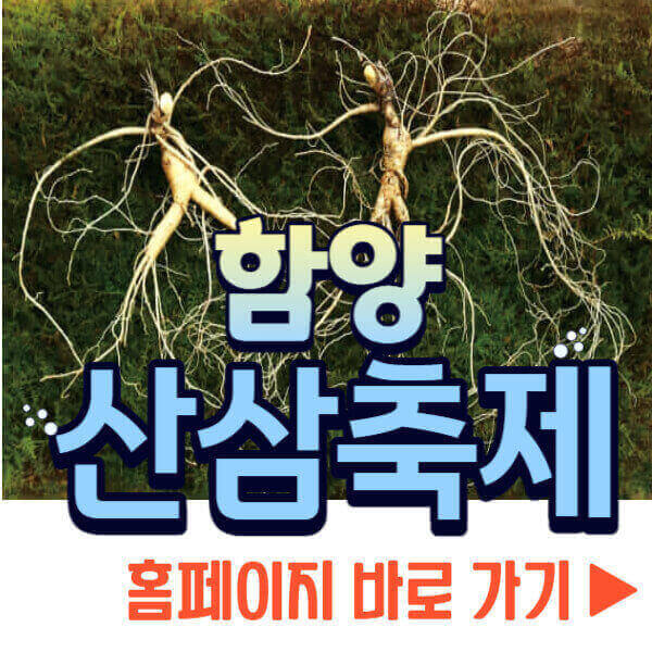 함양산삼축제 홈페이지