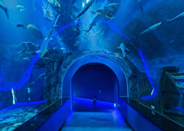 다누리아쿠아리움