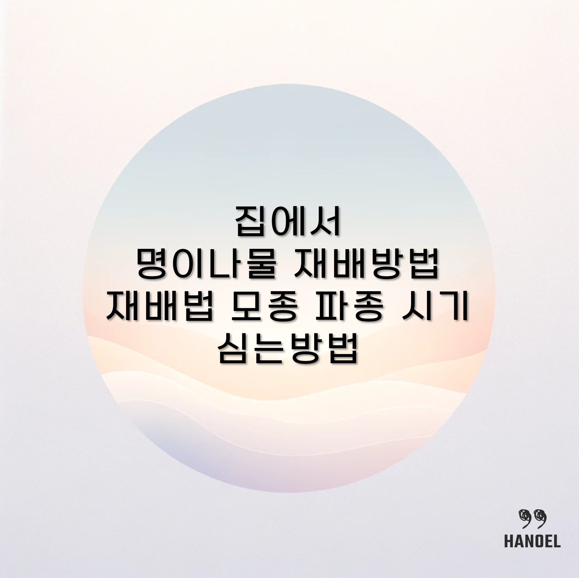 집에서 명이나물 재배방법 재배법 모종 파종 시기 심는방법