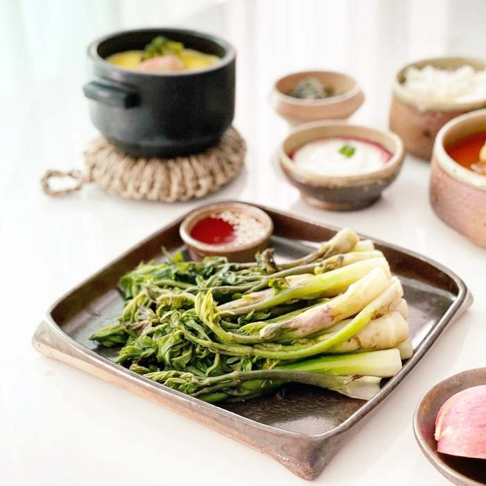 생생정보 신비의 대물 약초 독활 땅두릅