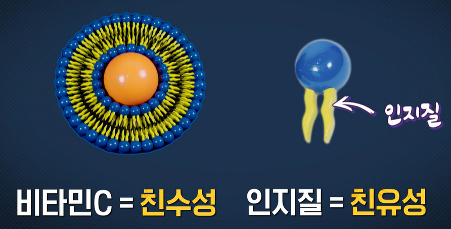 리포좀 비타민C