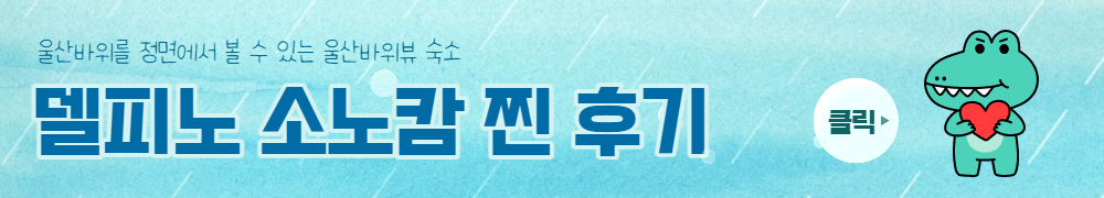 델피노소노캄후기