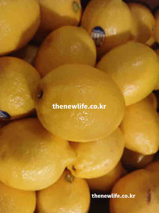 레몬수 효능 부작용 에나멜 부식