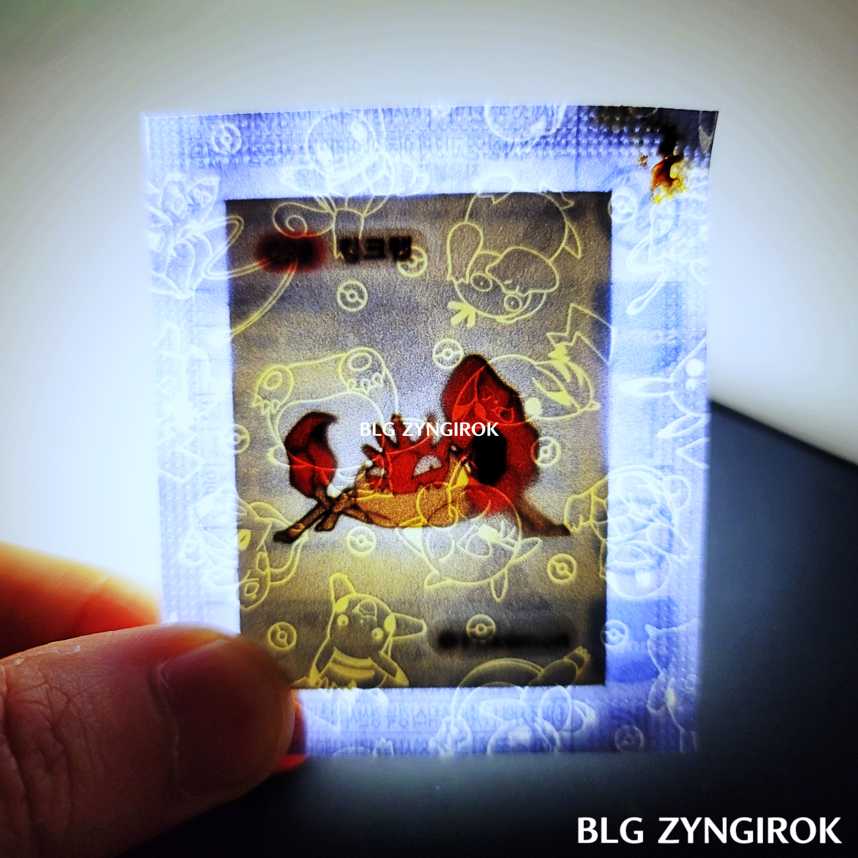 띠부띠부씰-킹크랩을-들고있다.