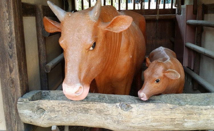 부천 자연생태공원
