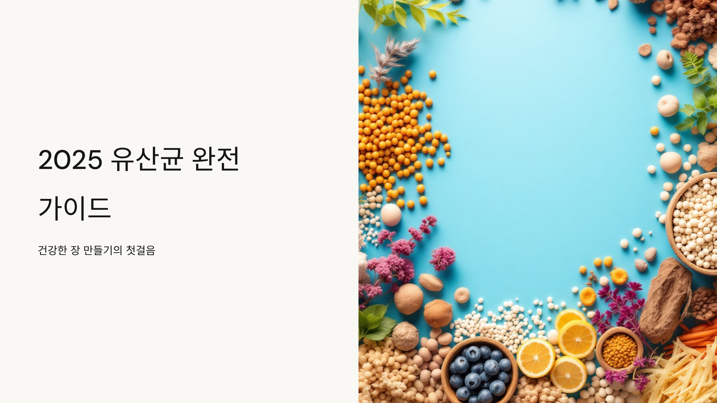 유산균 추천 장건강 완벽정리