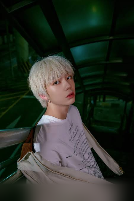 승헌 오행 분포