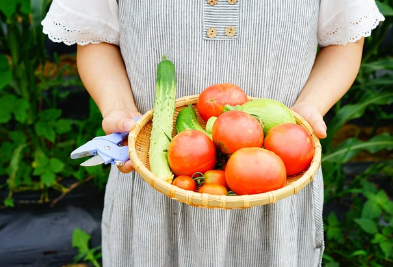 우리 집 작은 정원, 지구를 위한 큰 변화: 베란다 텃밭 가꾸기
