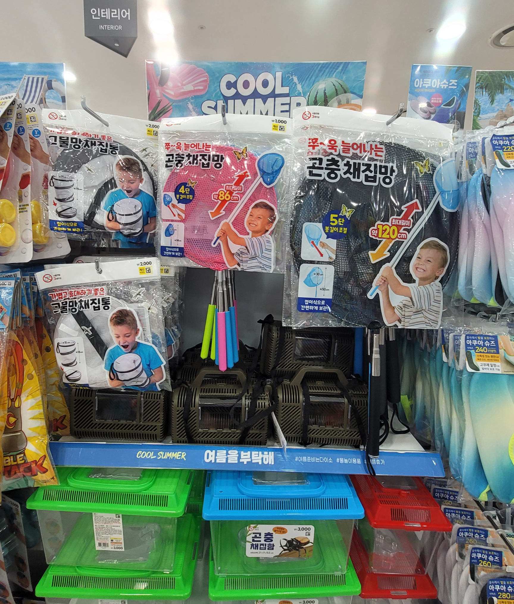 곤충채집망