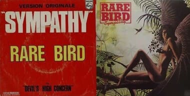 레어버드심포티 앨범