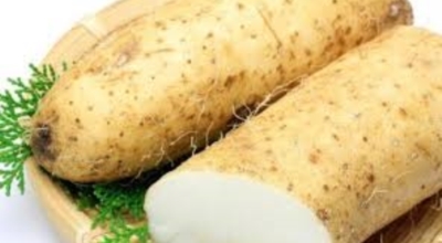 췌장에좋은음식이미지