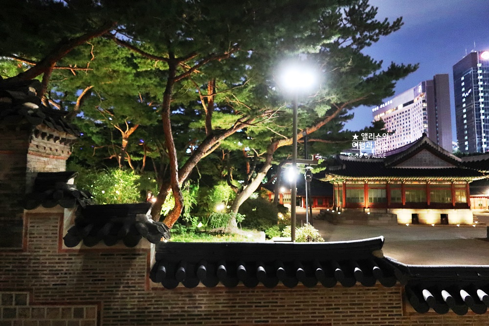 덕수궁 야간개장 방문후기 야간 덕수궁 야간투어 궁궐야행
