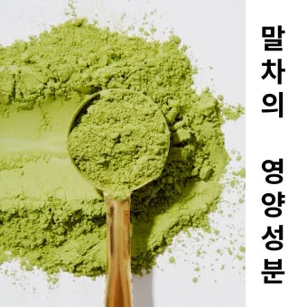 녹차가루 효능 섭취방법과 부작용까지 꼼꼼히 알아보기_5