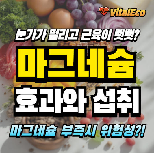 마그네슘 효과와 올바른 섭취 알아보기
