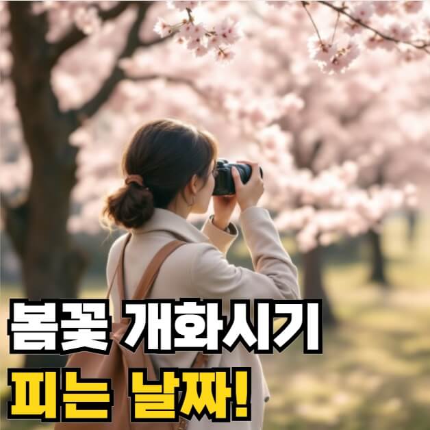 봄꽃 개화시기 피는 날짜