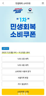민생소비쿠폰 사용법