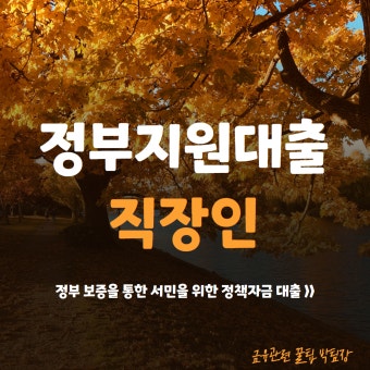 정부지원 직장인 대출