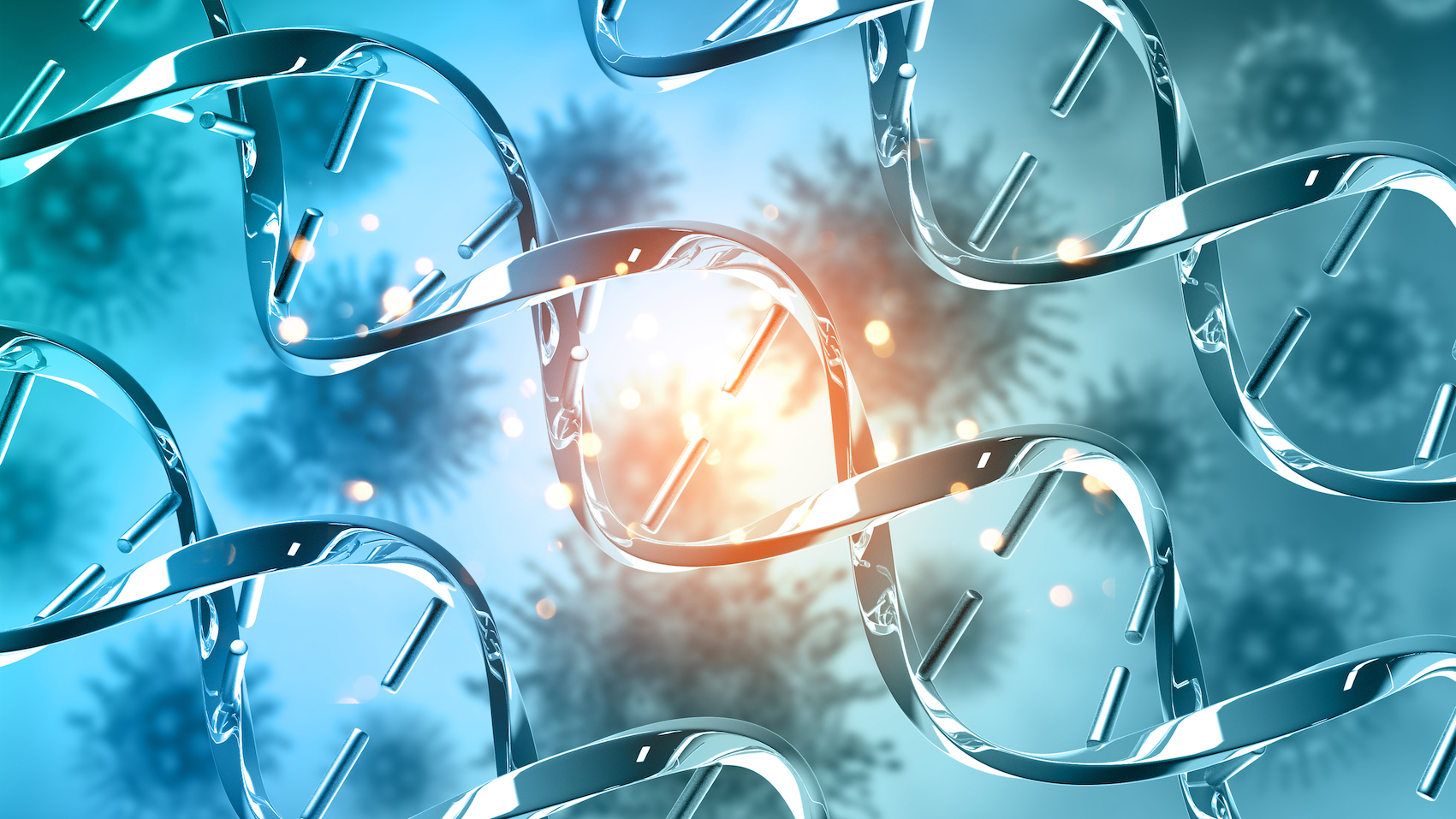 강력한 항산화 효과가 있는 말차