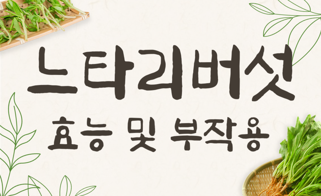 느타리버섯 효능 부작용