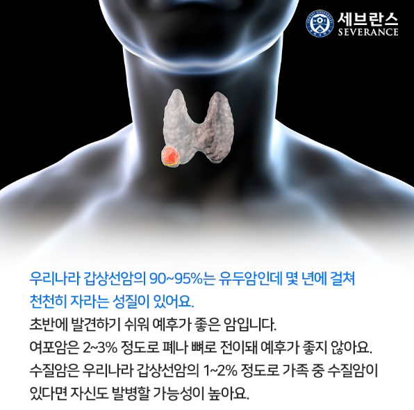 갑상선 암 위치