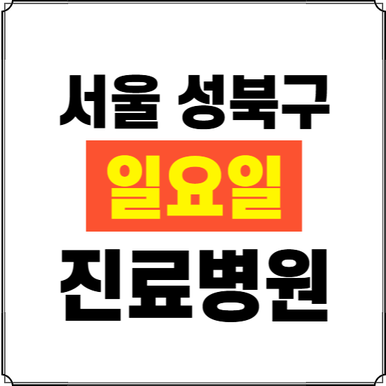 서울 성북구 일요일 진료병원 찾기 ❘ 24시 휴일 주말 응급 야간 심야 문여는 병원