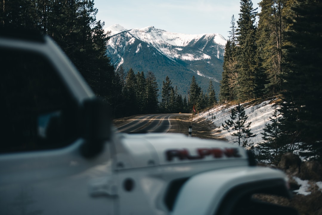 Adventure.