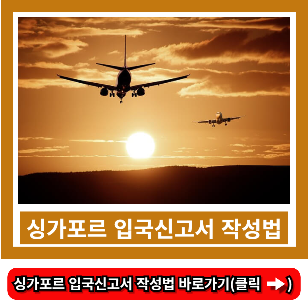 싱가포르 입국신고서 작성법