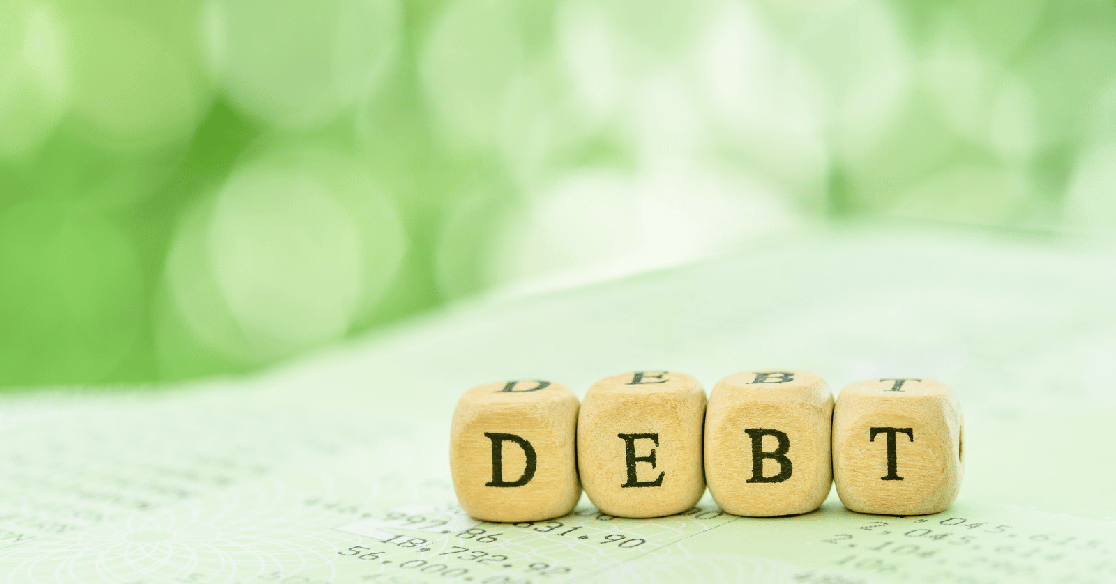 채무자대리인제도