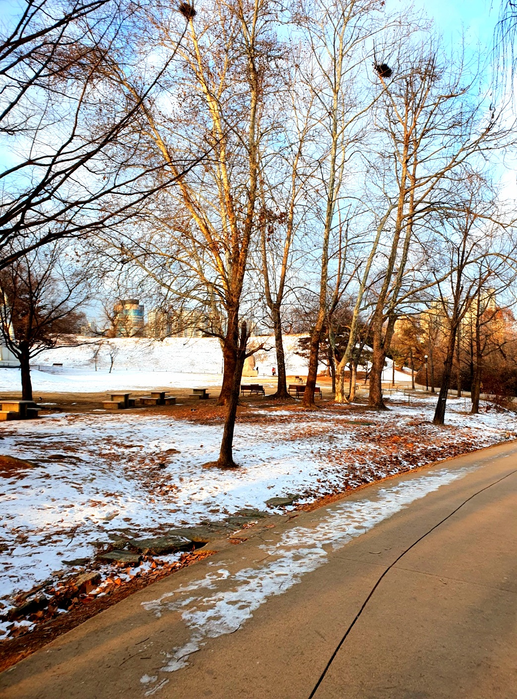 쓸쓸함이-묻어나는-공원-풍경입니다.