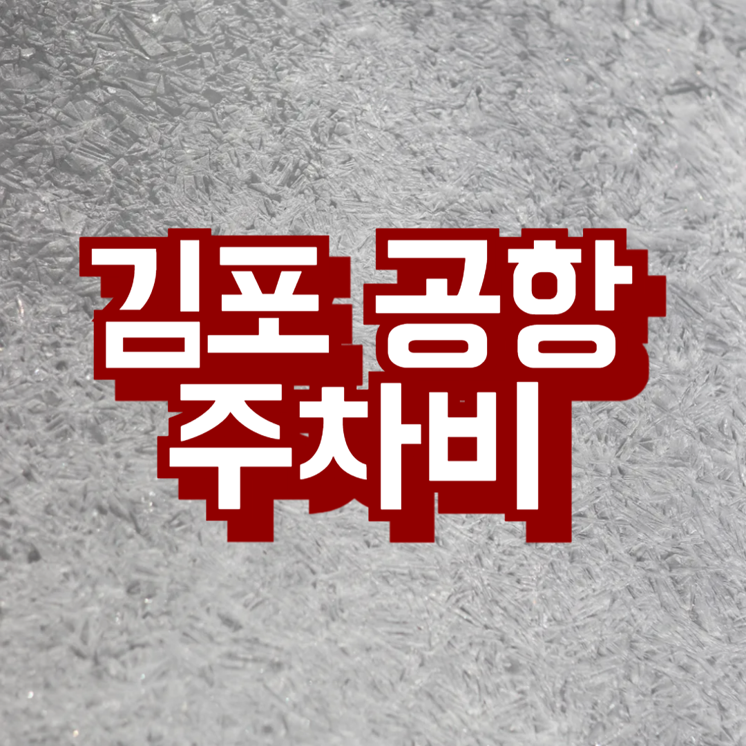 김포공항 주차비