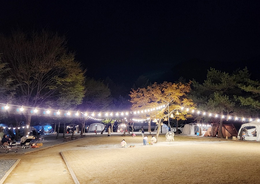 잔디구역 사이트 전경