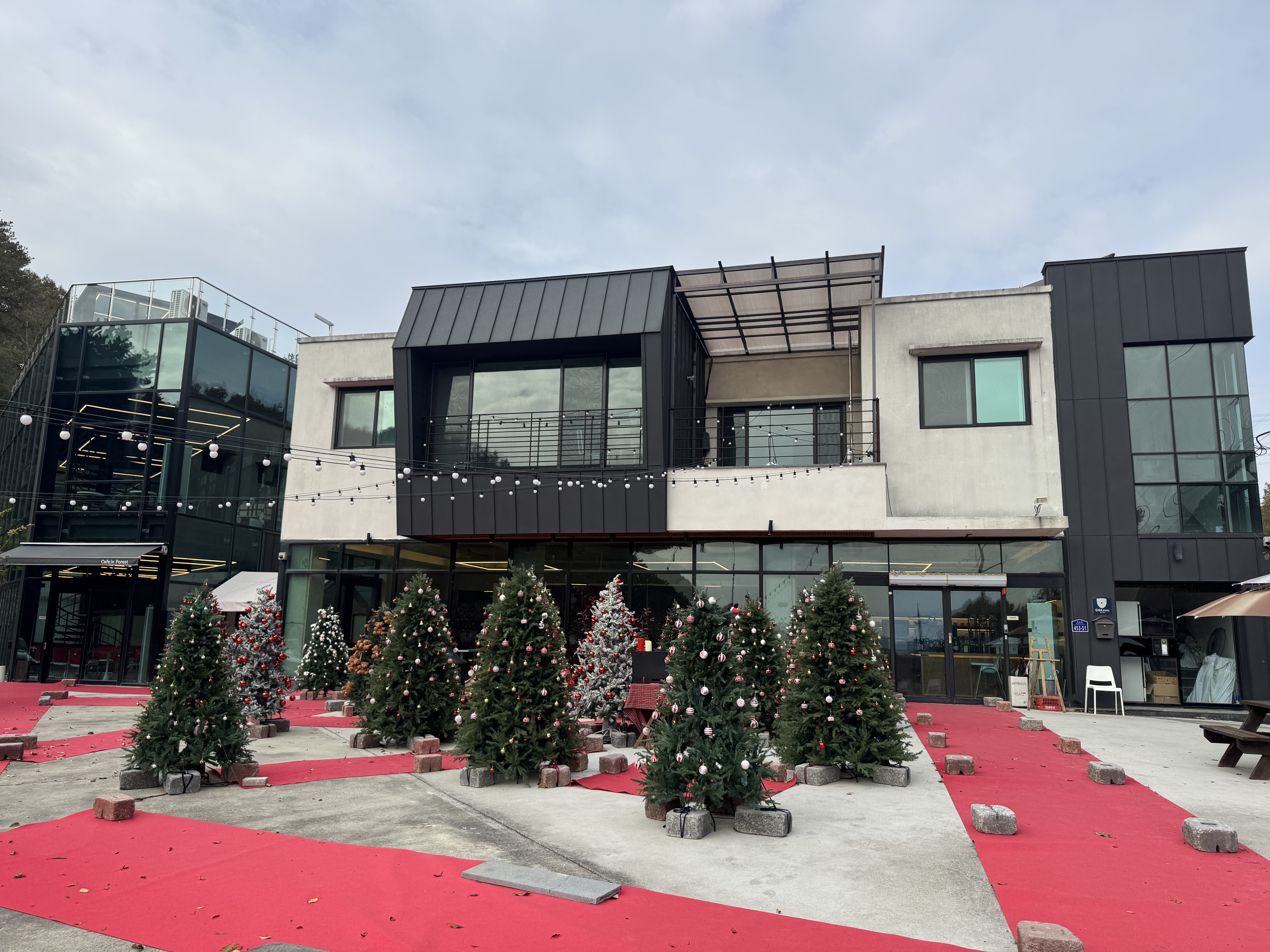 비누거품 눈이 내리는 영천 카페인포레스트 야외 전경